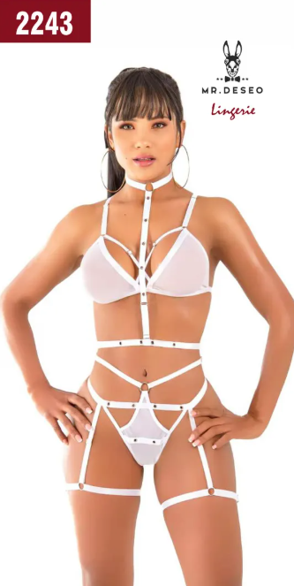 Lenceria Erotica Surtida Nacional 2243